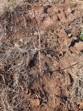 김영복님의 자유주제 · 자유게시판 작성글 사진