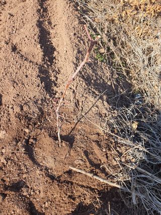 김영복님의 자유주제 · 자유게시판 작성글 사진