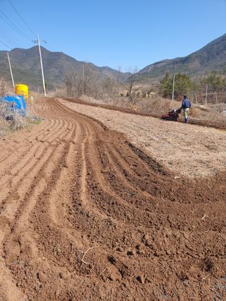 김영복님의 자유주제 · 자유게시판 작성글 사진