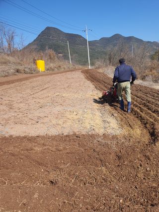 김영복님의 자유주제 · 자유게시판 작성글 사진