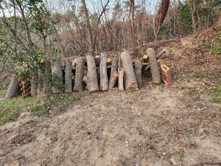 오임택 님의 자유주제 · 자유게시판 작성글 사진