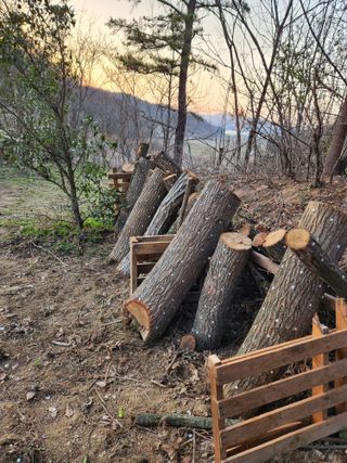 오임택 님의 자유주제 · 자유게시판 작성글 사진