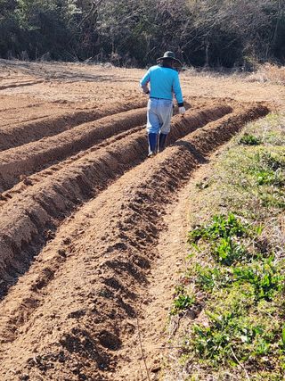 오임택 님의 자유주제 · 자유게시판 작성글 사진