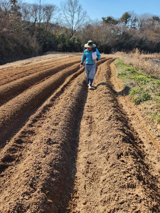 오임택 님의 자유주제 · 자유게시판 작성글 사진