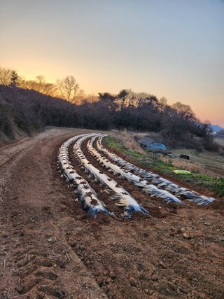 오임택 님의 자유주제 · 자유게시판 작성글 사진