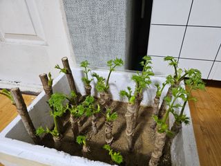 빠꼼이님의 자유주제 · 자유게시판 작성글 사진