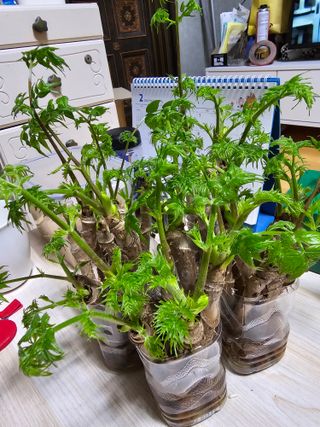 빠꼼이님의 자유주제 · 자유게시판 작성글 사진