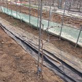 팜모닝 · 게시글 이미지