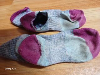 이상애초보농업님의 자유주제 · 자유게시판 작성글 사진