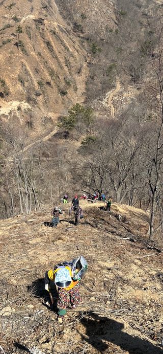 치유숲모이라양재순님의 기타작물 · 영농일지 작성글 사진