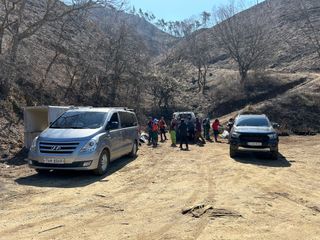 치유숲모이라양재순님의 기타작물 · 영농일지 작성글 사진