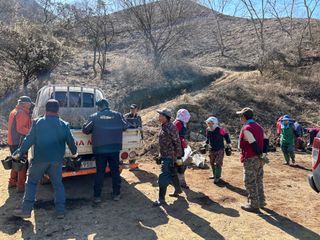 치유숲모이라양재순님의 기타작물 · 영농일지 작성글 사진