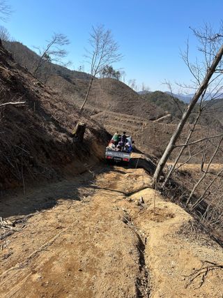 치유숲모이라양재순님의 기타작물 · 영농일지 작성글 사진
