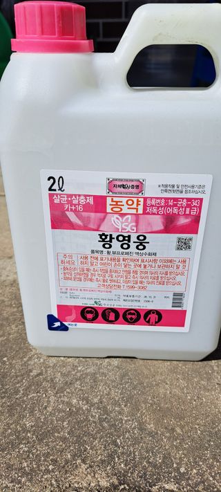 김재찬님의 감 · 영농일지 작성글 사진