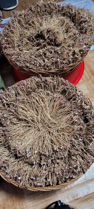 이미경님의 자유주제 · 자유게시판 작성글 사진