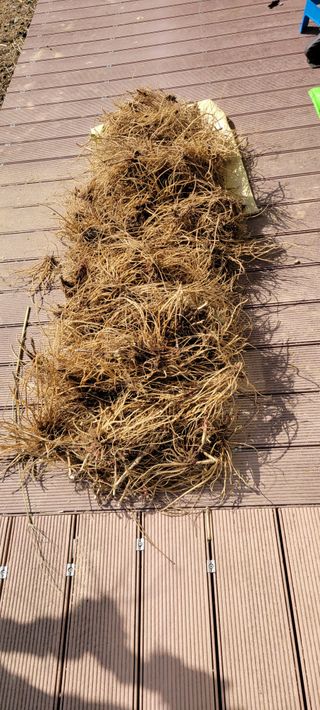 이미경님의 자유주제 · 자유게시판 작성글 사진