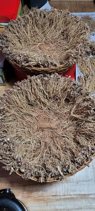 이미경님의 자유주제 · 자유게시판 작성글 사진