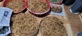 이미경님의 자유주제 · 자유게시판 작성글 사진