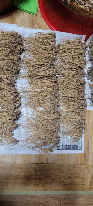 이미경님의 자유주제 · 자유게시판 작성글 사진