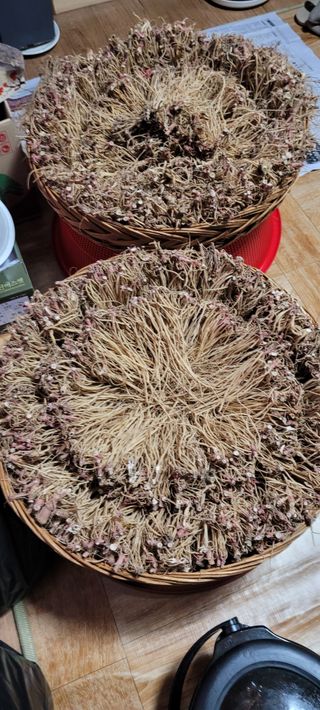 이미경님의 자유주제 · 자유게시판 작성글 사진