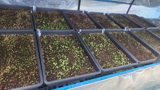 연지골농원_단야님의 자유주제 · 자유게시판 작성글 사진