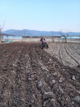 팜모닝 자유주제·자유게시판 게시글 이미지