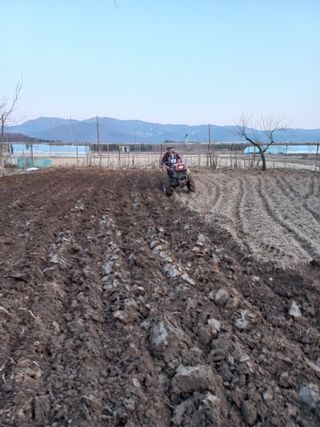이근환님의 자유주제 · 자유게시판 작성글 사진