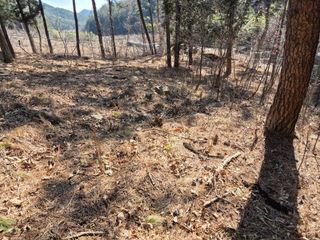 순천채승묵님의 기타작물 · 영농일지 작성글 사진