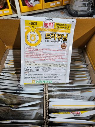 대산농사대장님의 마늘 · 제초 작성글 사진