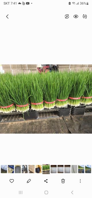 정무이님의 작성글 사진