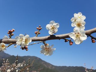 다온아띠농원 장현호님의 자유주제 · 자유게시판 작성글 사진