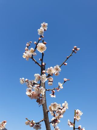 다온아띠농원 장현호님의 자유주제 · 자유게시판 작성글 사진