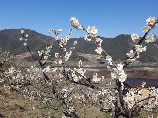 다온아띠농원 장현호님의 자유주제 · 자유게시판 작성글 사진