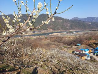 다온아띠농원 장현호님의 자유주제 · 자유게시판 작성글 사진