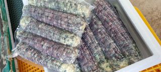 장관덕님의 자유주제 · 칭찬해요 작성글 사진