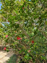 팜모닝 자유주제·자유게시판 게시글 이미지