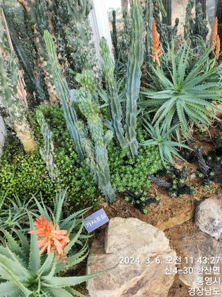 작약님의 자유주제 · 자유게시판 작성글 사진