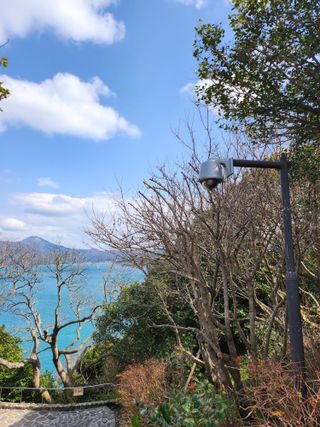 작약님의 자유주제 · 자유게시판 작성글 사진