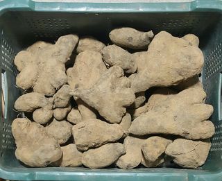 정보센터님의 작성글 사진