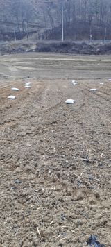 팜모닝 기타작물·영농일지 게시글 이미지