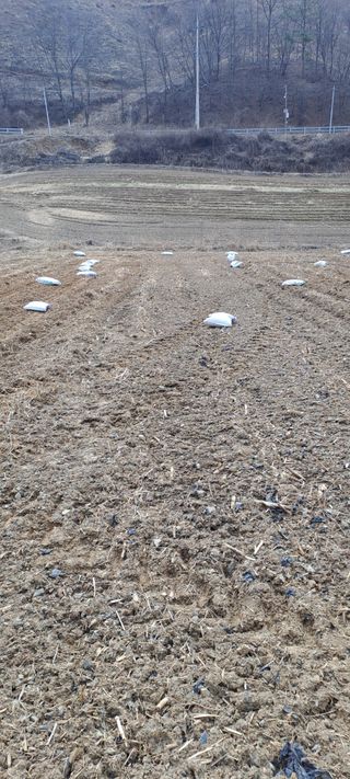 용호님의 기타작물 · 영농일지 작성글 사진