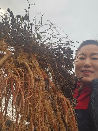 단삼님의 기타작물 · 자유게시판 작성글 사진