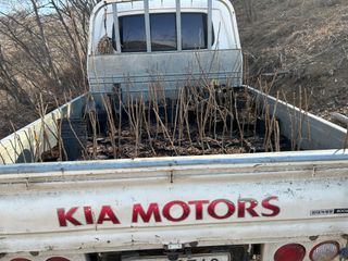 치유숲모이라양재순님의 자유주제 · 자유게시판 작성글 사진