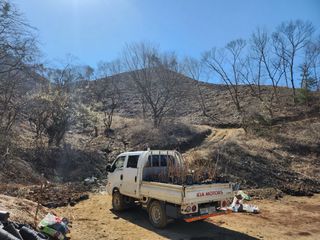 치유숲모이라양재순님의 자유주제 · 자유게시판 작성글 사진