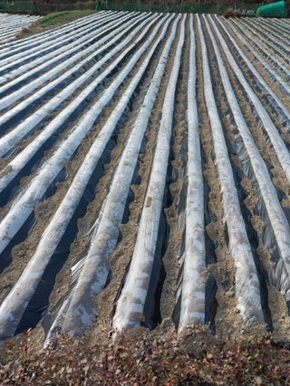 5월출석왕이레요님의 자유주제 · 자유게시판 작성글 사진