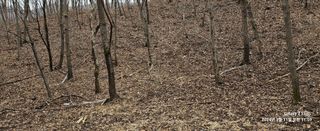 장두원님의 자유주제 · 자유게시판 작성글 사진