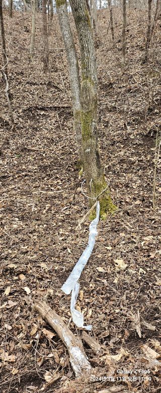 장두원님의 자유주제 · 자유게시판 작성글 사진