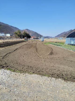 우영옥님의 자유주제 · 자유게시판 작성글 사진