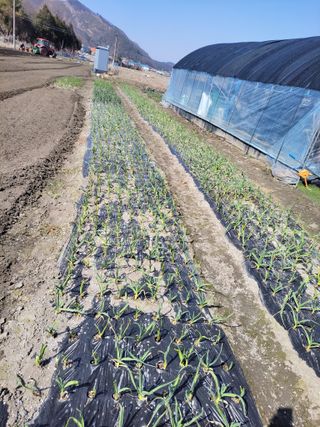 우영옥님의 자유주제 · 자유게시판 작성글 사진