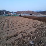 팜모닝 자유주제·자유게시판 게시글 이미지